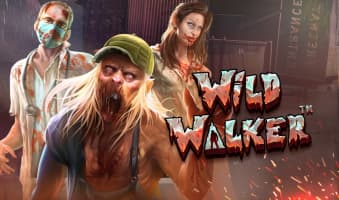 Demo Slot Wild Walker